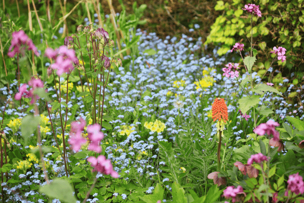 Das Bild zeigt einen Bauerngarten. Der Aufenthalt in der Natur oder auch Gärtnern können das Empfinden von Freude hervorrufen. 