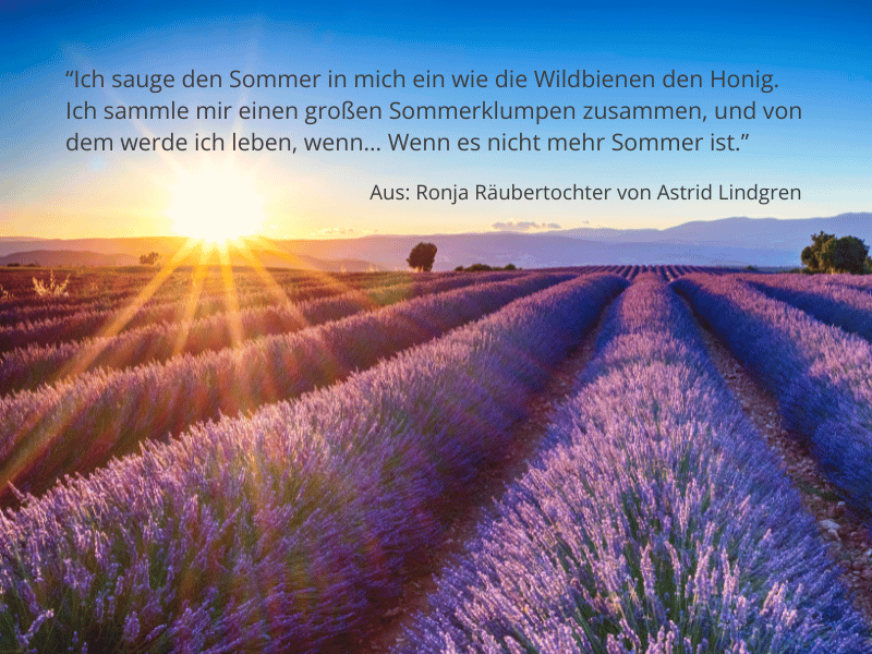 Zitat von Ronja Räubertochter: Ich sauge den Sommer ein wie die Wildbienen für die Zeit, wenn nicht mehr Sommer ist. Dieses Zitat zeigt, was eine Summerbucketlist bewirken kann.