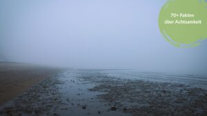 Nebliger, weiter Strand bei Ebbe in der Bretagne am frühen Morgen, Titelbild zum Artikel mit Fakten über Achtsamkeit.