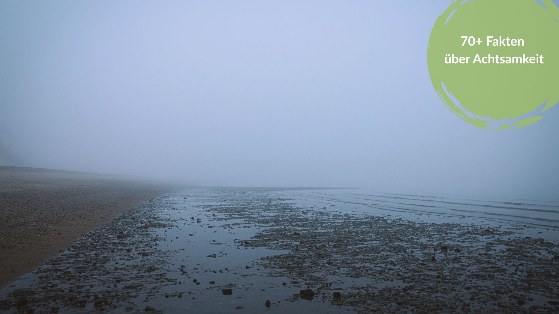 Nebliger, weiter Strand bei Ebbe in der Bretagne am frühen Morgen, Titelbild zum Artikel mit Fakten über Achtsamkeit.
