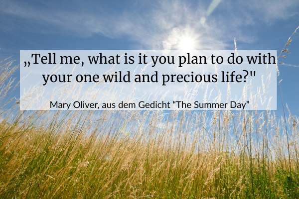 Zitatbild mit den Worten „Tell me, what is it you plan to do with your one wild and precious life?" von Mary Oliver aus dem Gedicht The Summer Day.
Auf Deutsch: „Sag mir, was hast du vor mit deinem einen wilden, kostbaren Leben?"